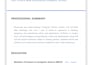 build responsive PHP mysql website or custom web application